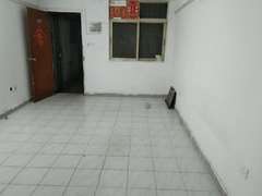 八卦岭宿舍 1室0厅1厨1卫 34.47m² 整租