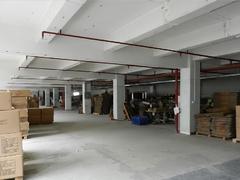 保税区工业厂房 保税区厂房 普通装修 1566m²
